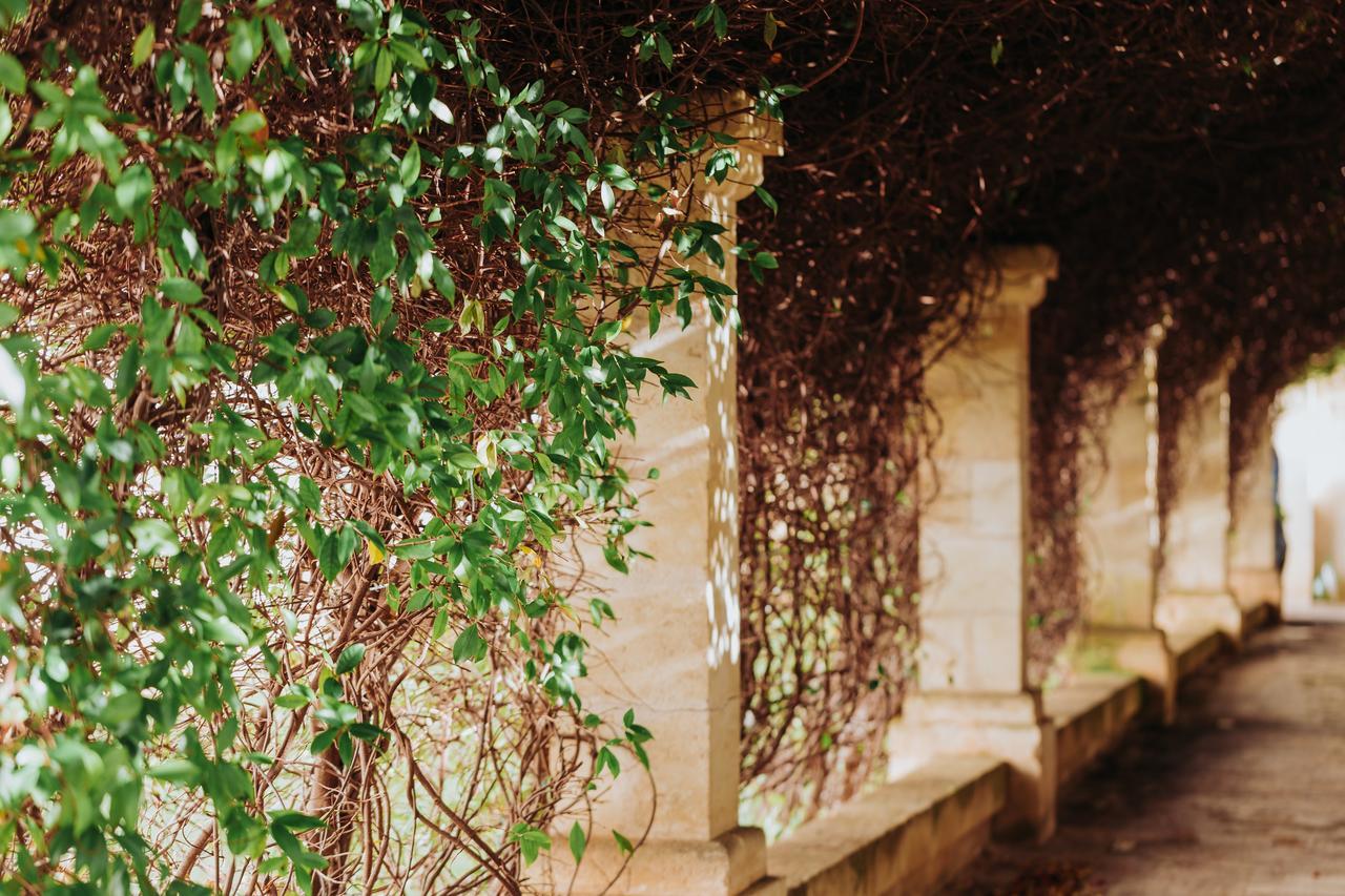 Masseria Ancella Montalbano  Exterior foto
